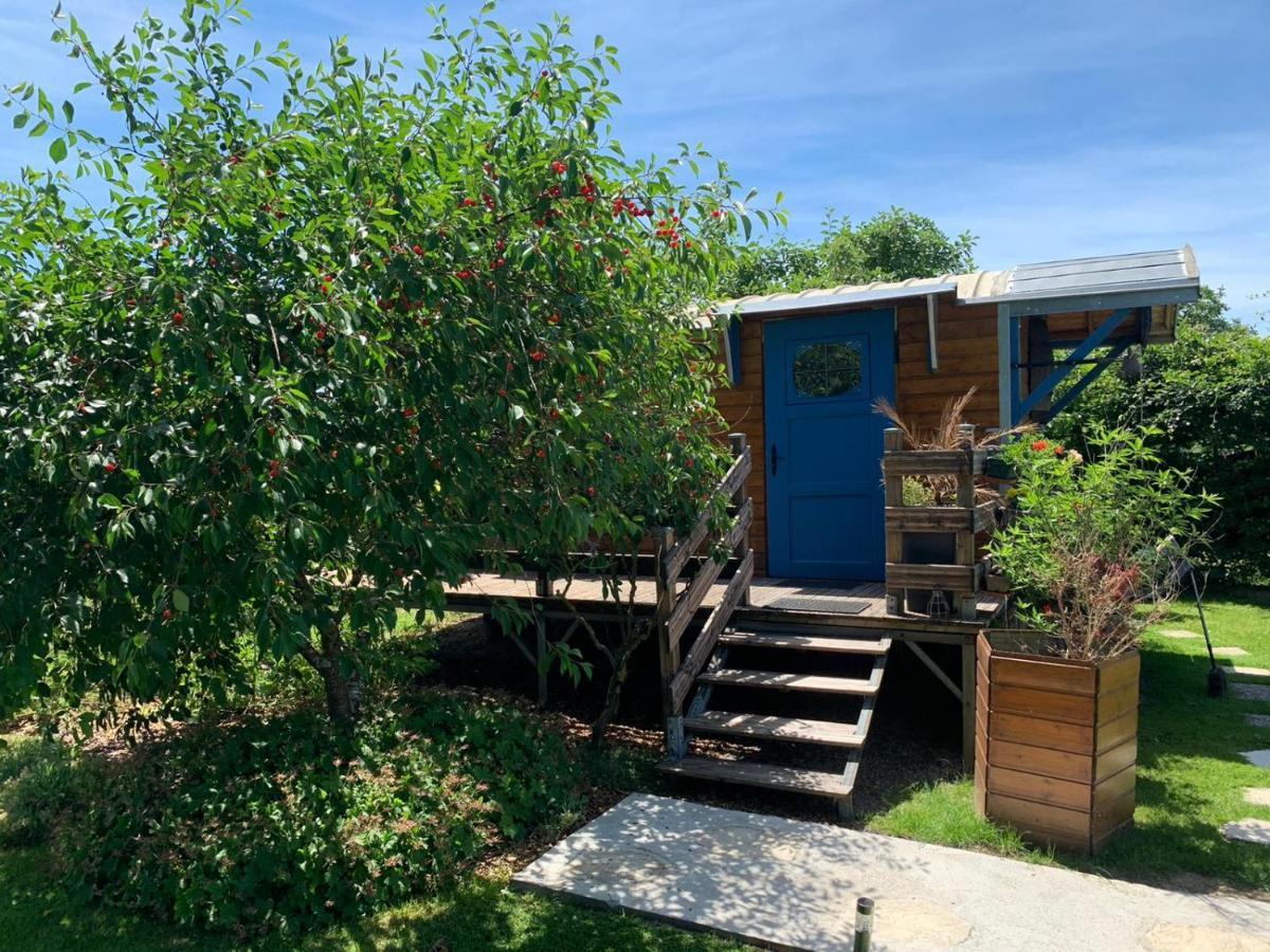 Hagebuche Bed and Breakfast Brouviller Εξωτερικό φωτογραφία