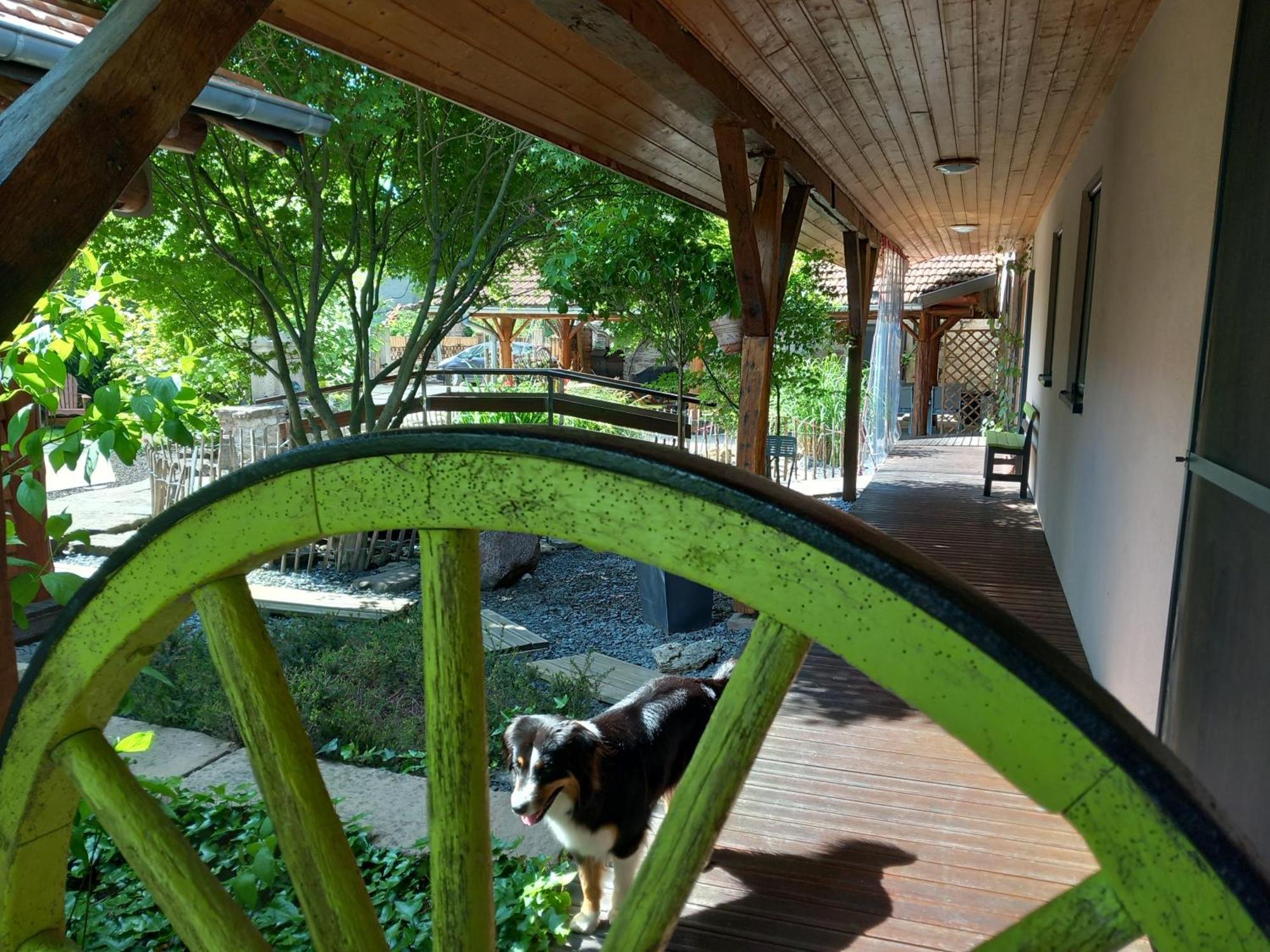Hagebuche Bed and Breakfast Brouviller Εξωτερικό φωτογραφία